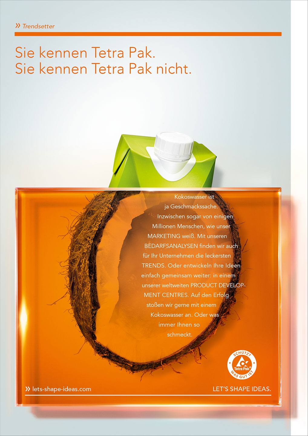 TP-ideas-print_ad-02-Trendsetter